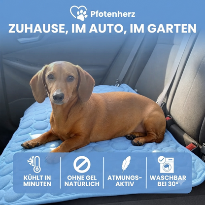 PfotenHerz Kühlmatte (2 für 1)
