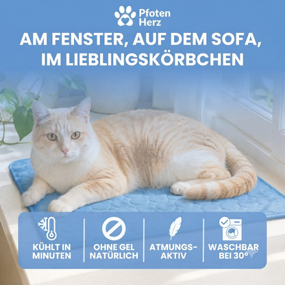 PfotenHerz Kühlmatte (2 für 1)
