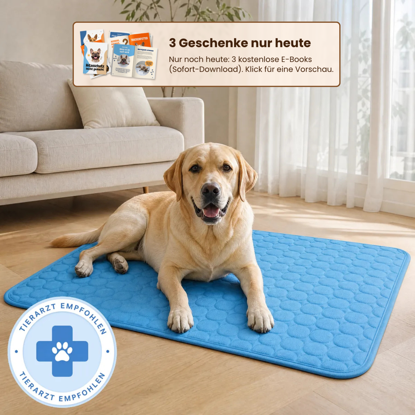 PfotenHerz Kühlmatte (2 für 1)