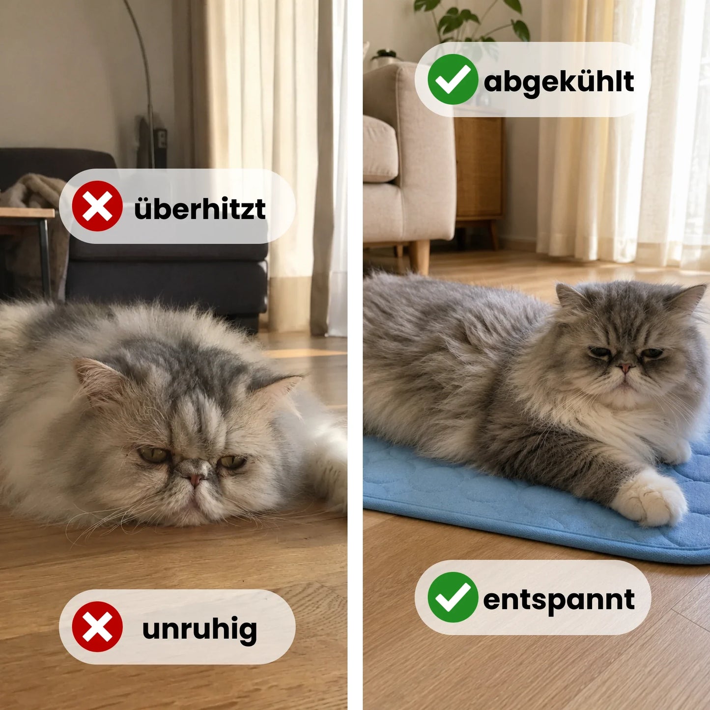 PfotenHerz Kühlmatte (2 für 1)