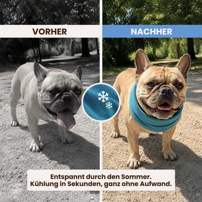 PfotenHerz Kühlhalstuch