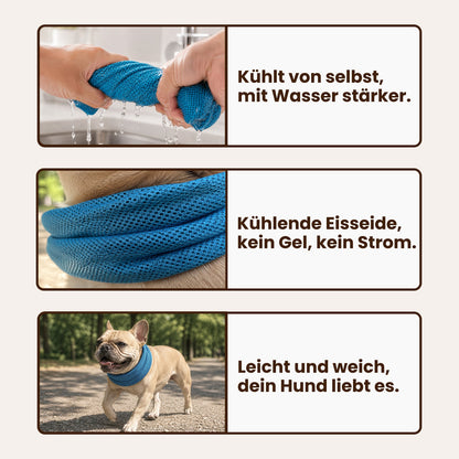 PfotenHerz Kühlhalstuch