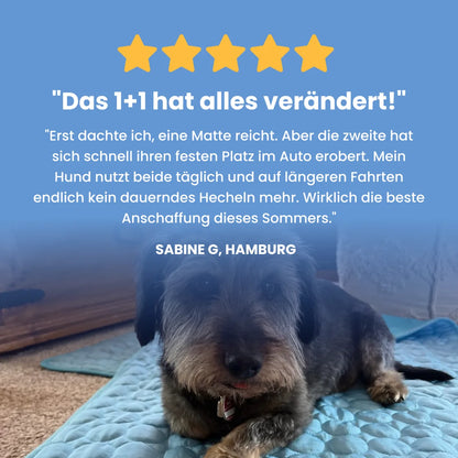 PfotenHerz Kühlmatte (2 für 1)
