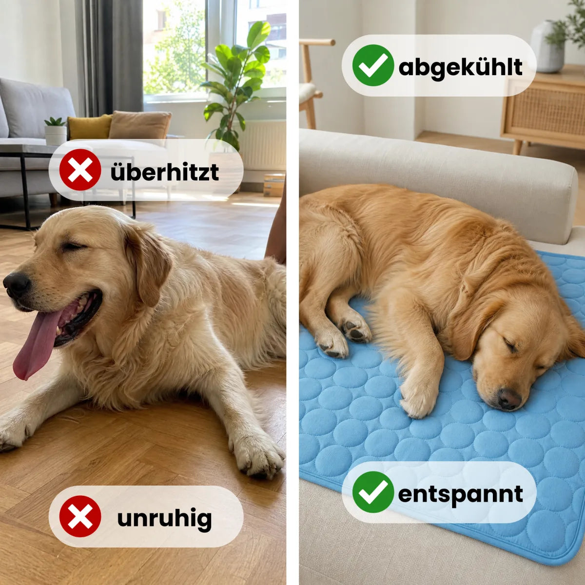 PfotenHerz Kühlmatte (2 für 1)