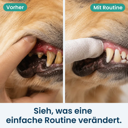 PfotenHerz ZahnSanft