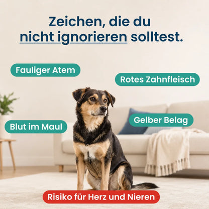 PfotenHerz ZahnSanft